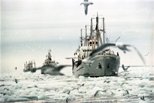 Фотография из собрания Музея морского флота